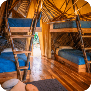 1 - Shared 4 Bed Jungle Cabin