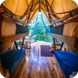 2 - Shared 4 Bed Jungle Cabin