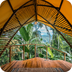 2 - Shared Twin Jungle Cabin