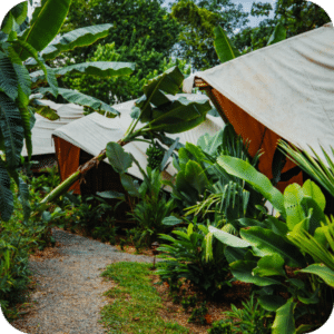 5 - Shared Twin Jungle Cabin